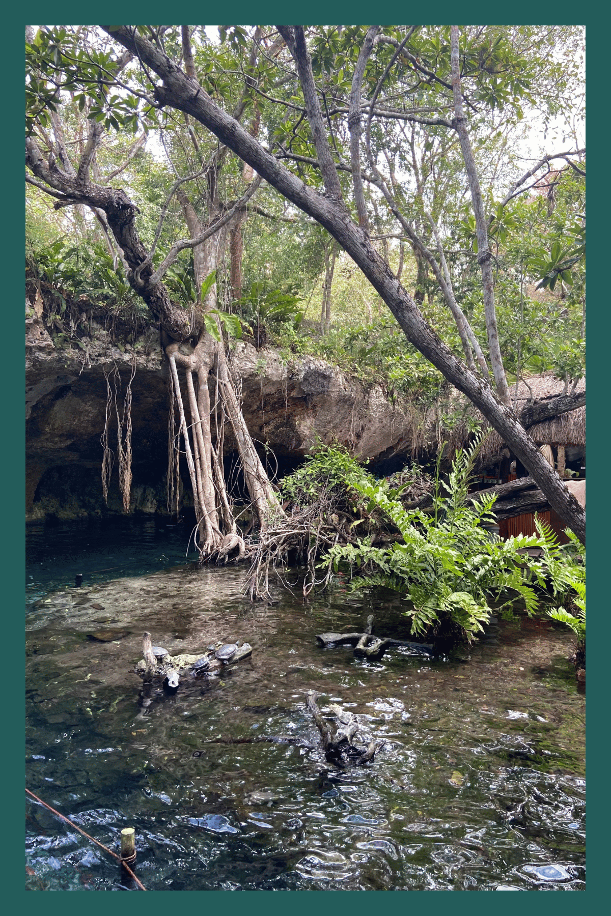 Gran Cenote bei Tulum