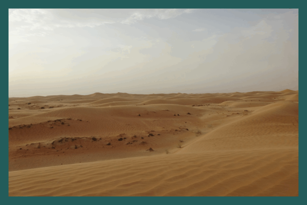 Desert Safari Dubai