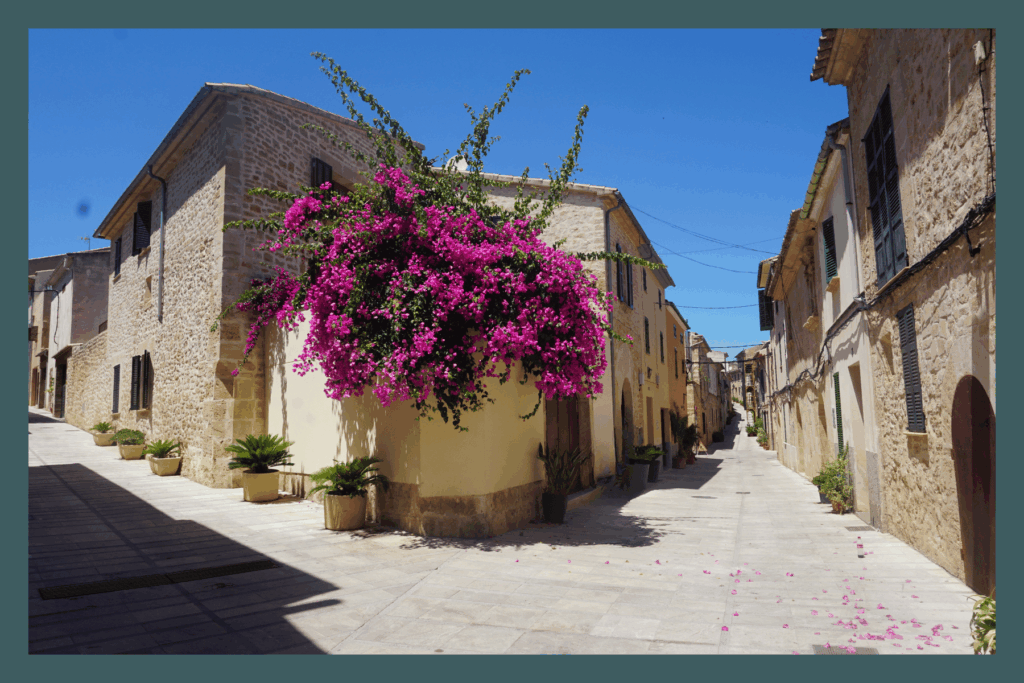 Alcudia Mallorca