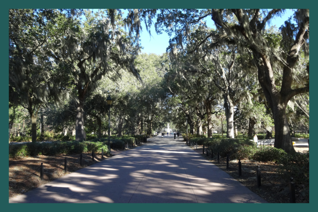 Savannah Forsyth Park