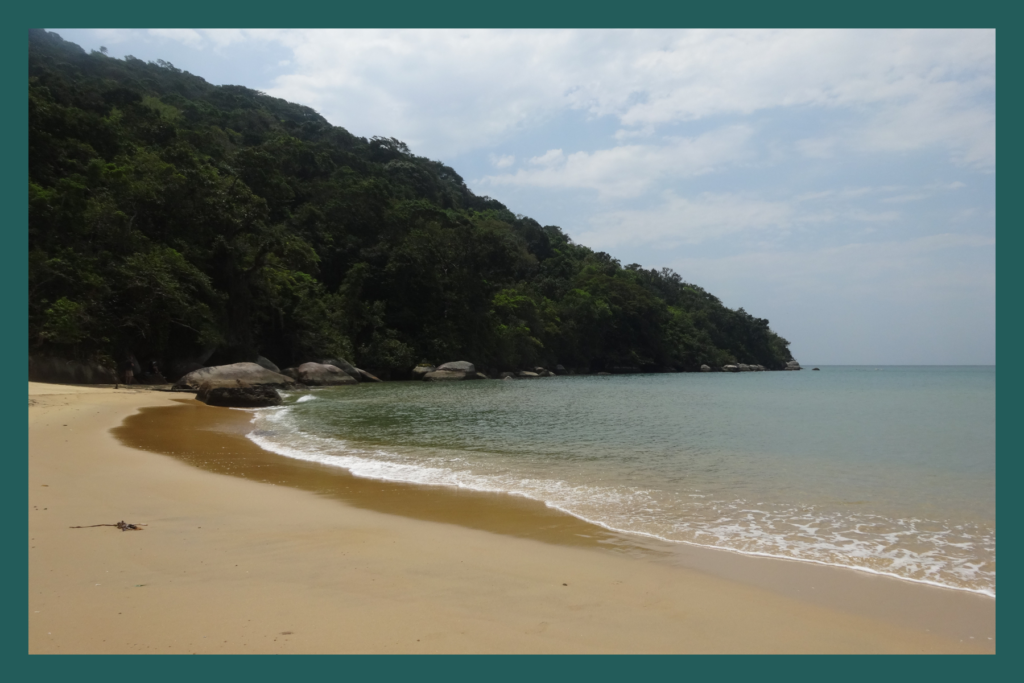 Ilha Grande